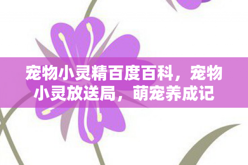 宠物小灵精百度百科图片