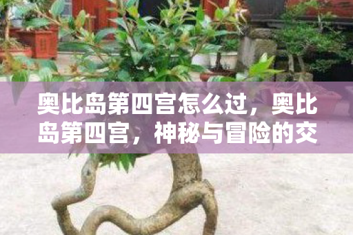 奥比岛第四宫怎么过图片