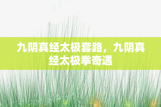 九阴真经太极拳奇遇图片