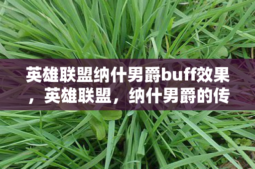 英雄联盟纳什男爵buff效果图片