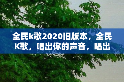 全民k歌2020旧版本图片