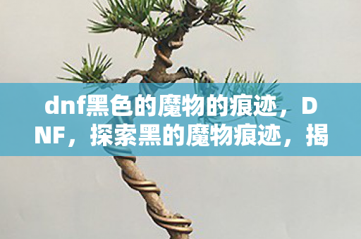dnf黑色的魔物的痕迹图片
