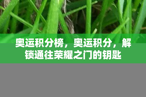 解锁通往荣耀之门的钥匙图片