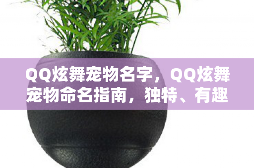 QQ炫舞宠物名字，QQ炫舞宠物命名指南，独特、有趣、个性化的宠物名字大全