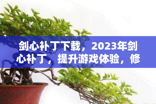 2023年剑心补丁图片