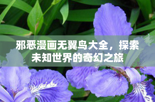 探索未知世界的奇幻之旅图片