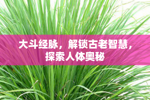 解锁古老智慧图片