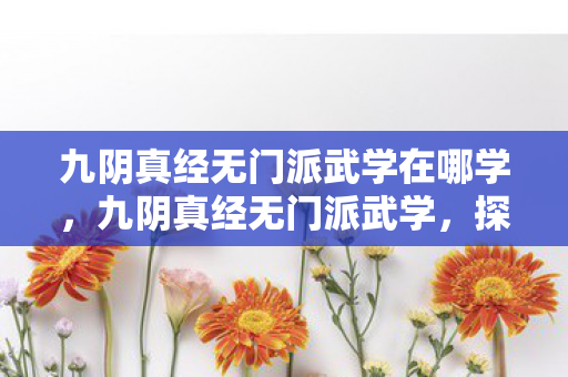 九阴真经无门派武学在哪学图片