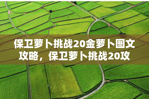 保卫萝卜挑战20金萝卜图文攻略图片