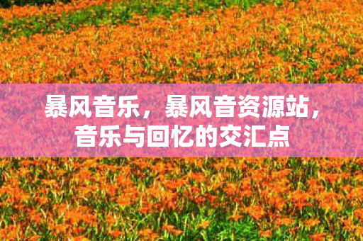 音乐与回忆的交汇点图片