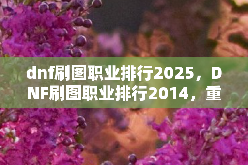dnf刷图职业排行2025图片