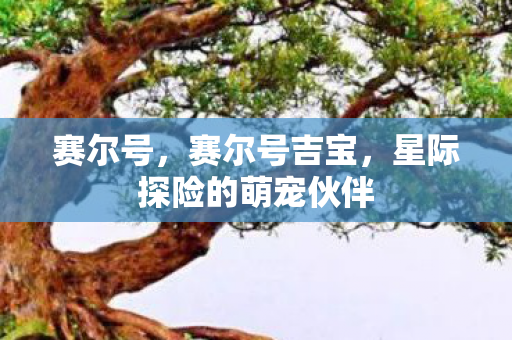 星际探险的萌宠伙伴图片