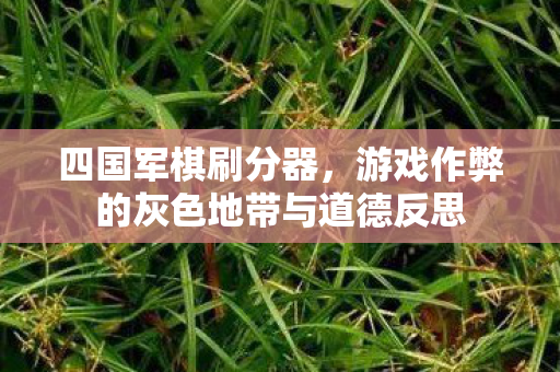 游戏作弊的灰色地带与道德反思图片