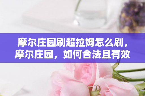 如何合法且有效地提升你的超拉姆图片