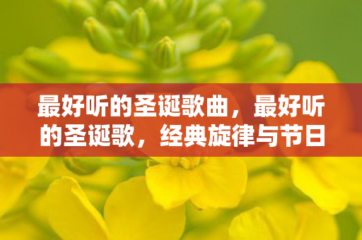 经典旋律与节日氛围的完美融合图片
