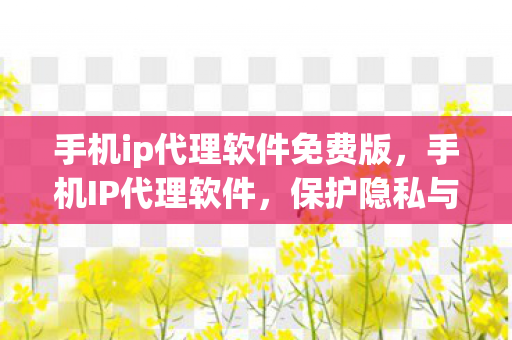 保护隐私与提升网络体验的神器图片