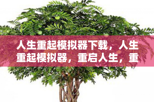 人生重起模拟器下载图片