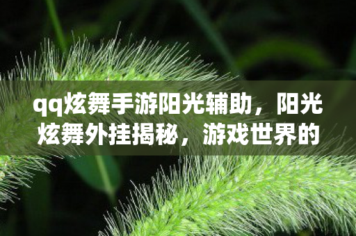 qq炫舞手游阳光辅助，阳光炫舞外挂揭秘，游戏世界的双刃剑