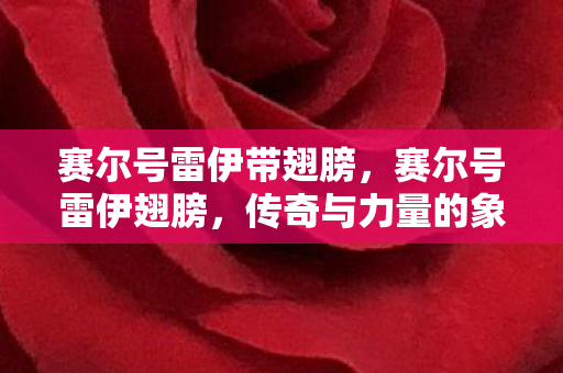 赛尔号雷伊带翅膀图片