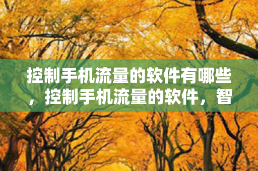 控制手机流量的软件有哪些图片