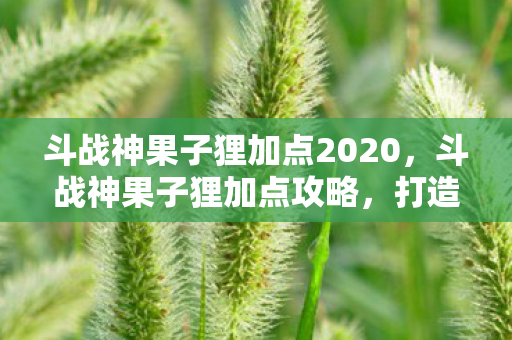 斗战神果子狸加点2020图片