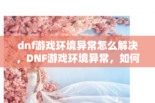 dnf游戏环境异常怎么解决图片