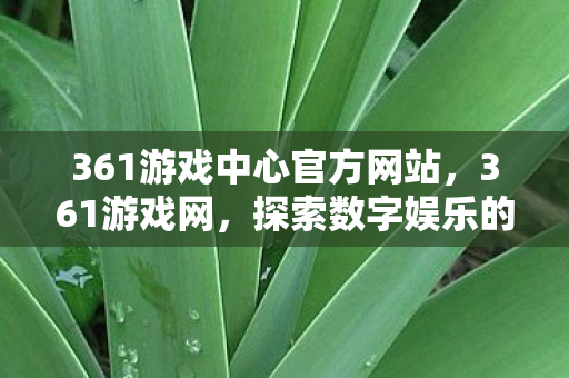 361游戏中心官方网站图片