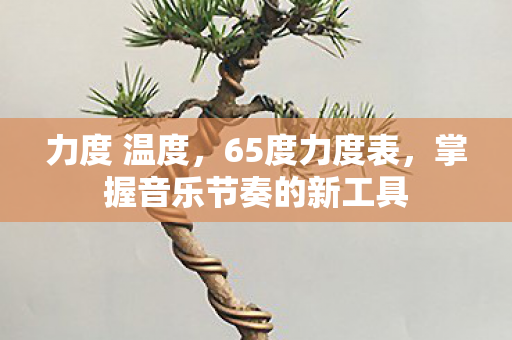 掌握音乐节奏的新工具图片