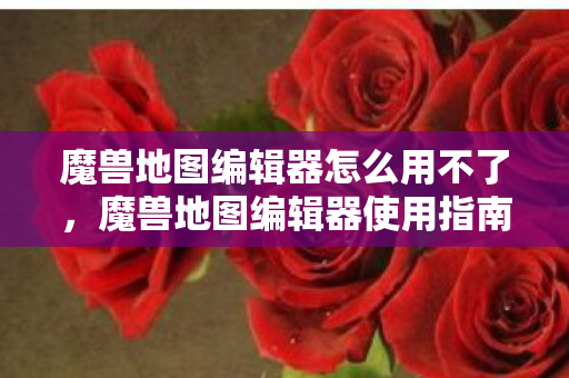 魔兽地图编辑器怎么用不了图片