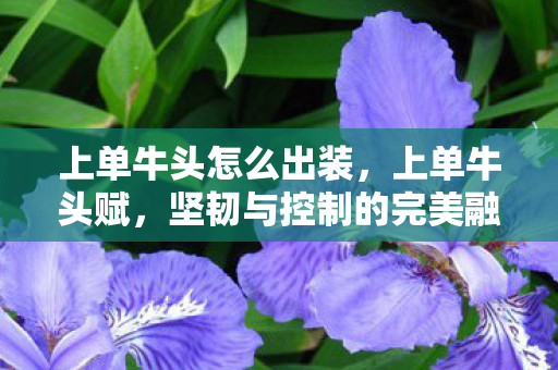 坚韧与控制的完美融合图片