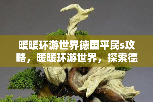 暖暖环游世界德国平民s攻略图片