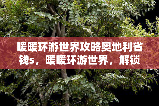 暖暖环游世界攻略奥地利省钱s图片