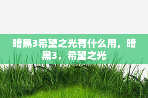 暗黑3希望之光有什么用图片