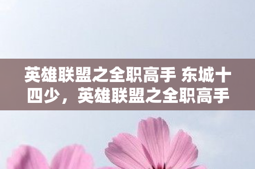 英雄联盟之全职高手 东城十四少图片