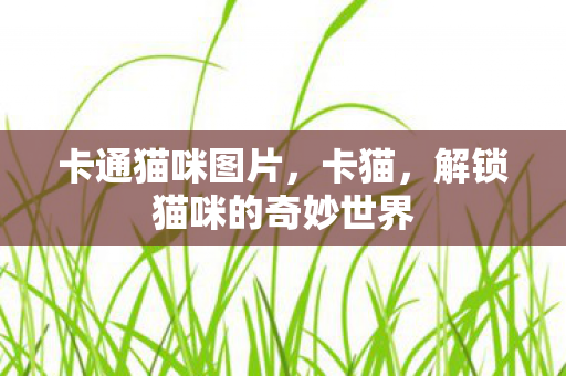 解锁猫咪的奇妙世界图片