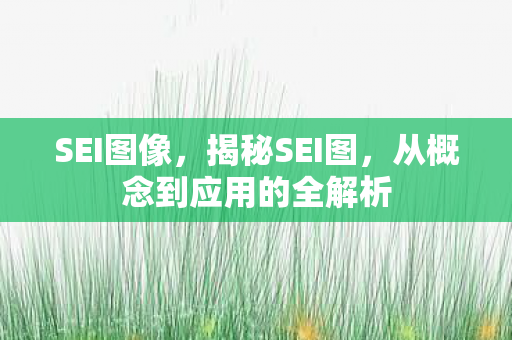 从概念到应用的全解析图片