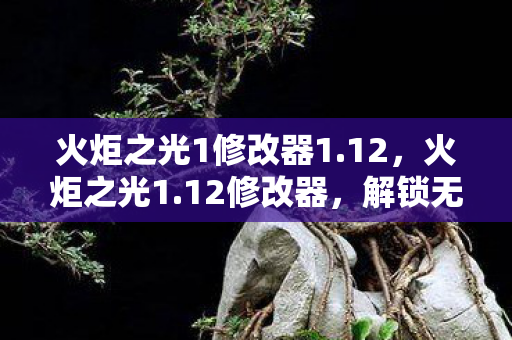 解锁无限可能的冒险之旅图片