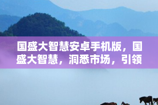 国盛大智慧安卓手机版图片