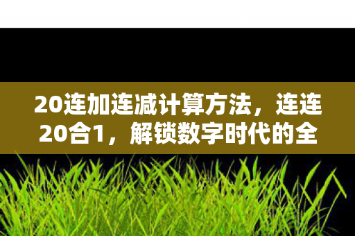 20连加连减计算方法，连连20合1，解锁数字时代的全能生活
