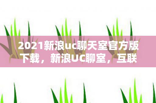 2021新浪uc聊天室官方版下载图片