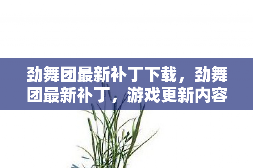 劲舞团最新补丁下载，劲舞团最新补丁，游戏更新内容与玩家体验全面提升