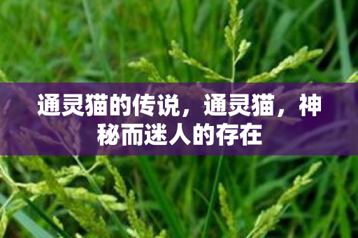 神秘而迷人的存在图片