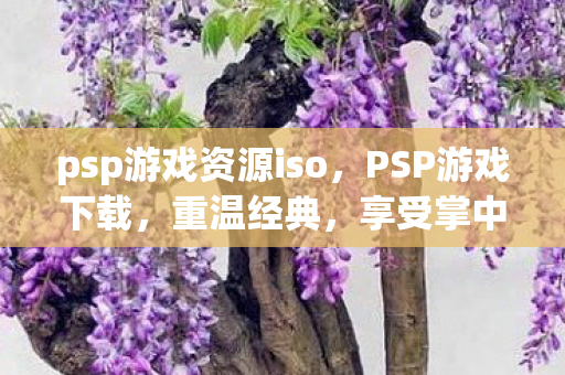 psp游戏资源iso图片