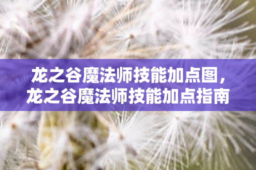 龙之谷魔法师技能加点指南图片