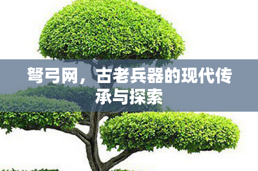 古老兵器的现代传承与探索图片