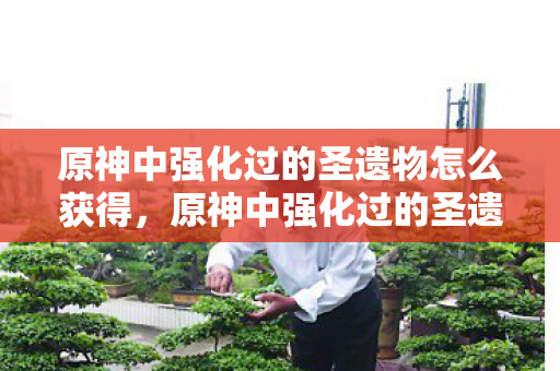 原神中强化过的圣遗物怎么获得图片