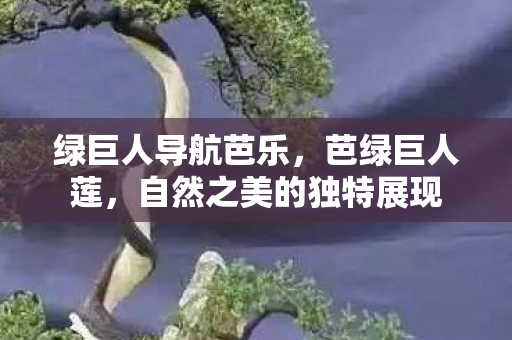 自然之美的独特展现图片