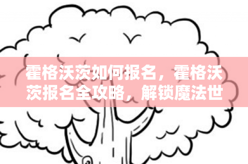 解锁魔法世界的入场券图片