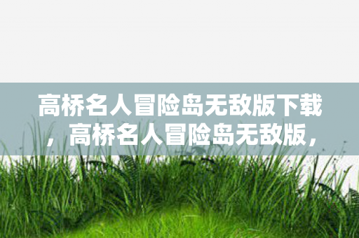 高桥名人冒险岛无敌版下载图片