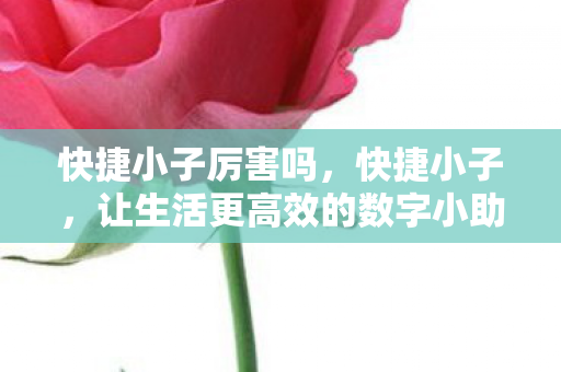 让生活更高效的数字小助手图片